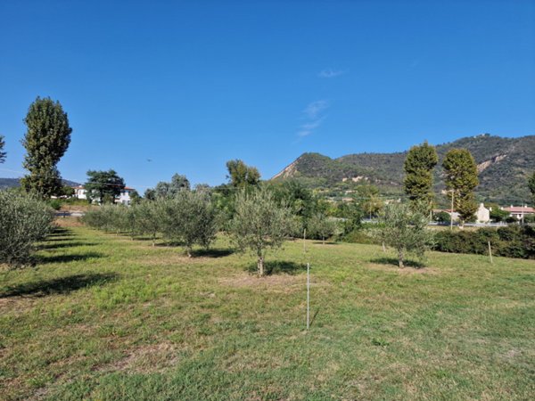 terreno edificabile in vendita a Baone