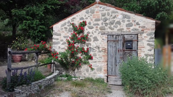 appartamento in vendita a Baone