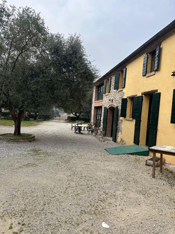 negozio in vendita a Baone