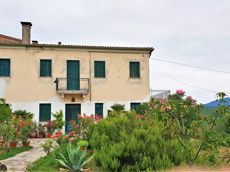 casa indipendente in vendita a Baone