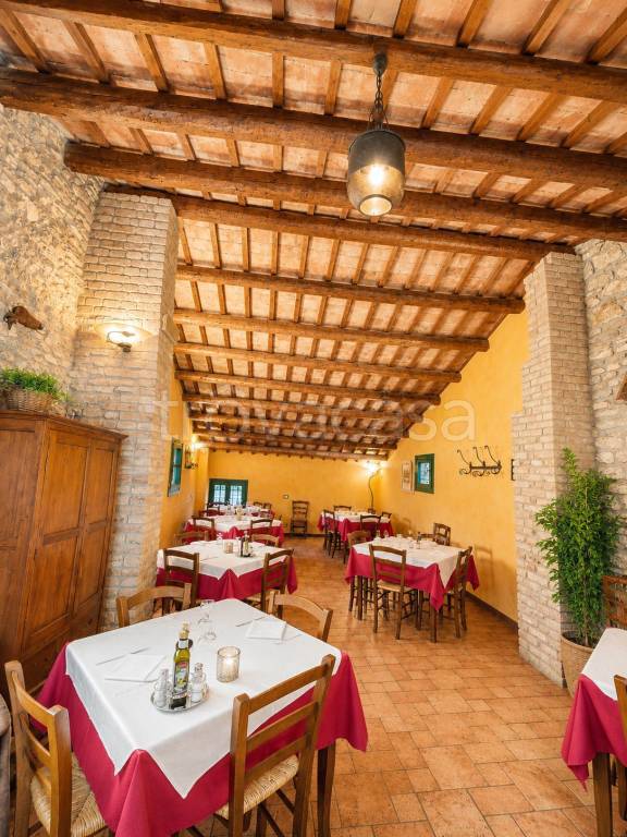 negozio in vendita a Baone