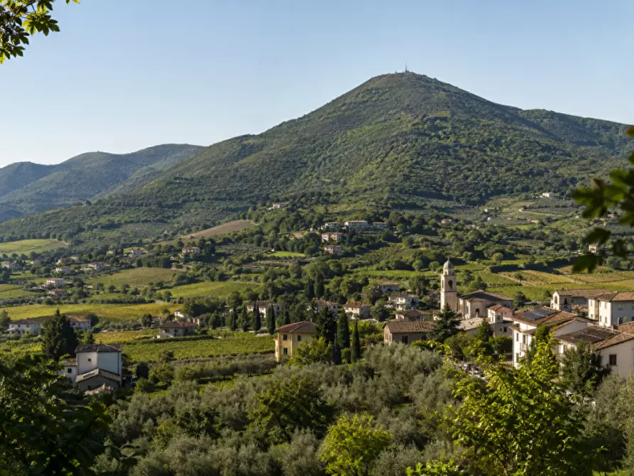 casa indipendente in vendita a Baone