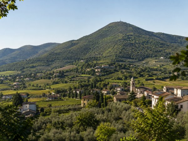 casa indipendente in vendita a Baone
