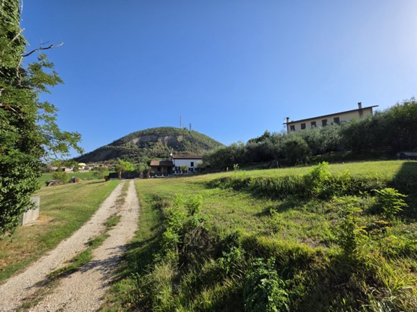 appartamento in vendita a Baone in zona Calaone