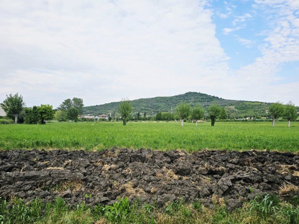 casa indipendente in vendita a Baone
