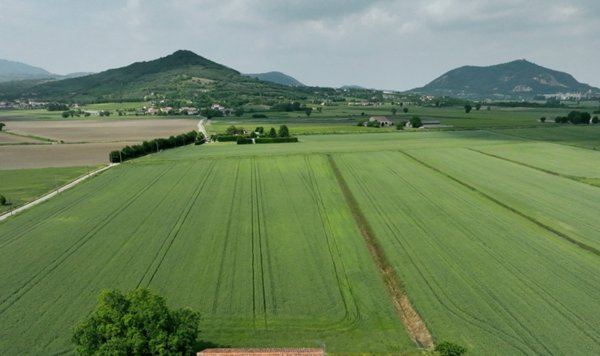 casa indipendente in vendita a Baone