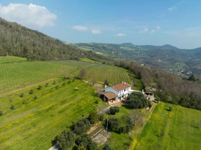 casa indipendente in vendita a Baone in zona Valle San Giorgio