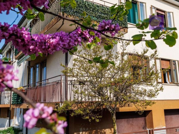 appartamento in vendita a Battaglia Terme