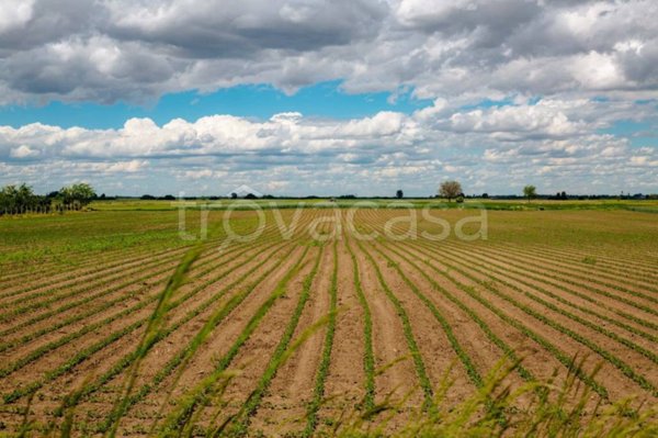 terreno edificabile in vendita a Boara Pisani
