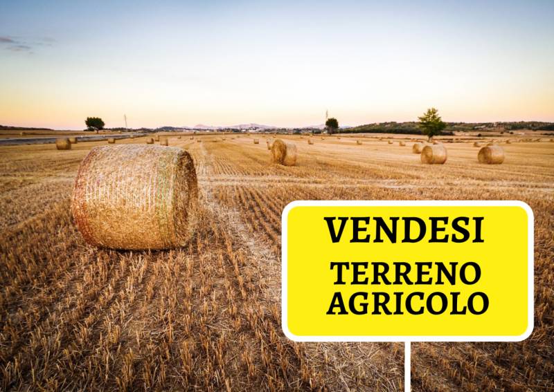 casa indipendente in vendita a Boara Pisani