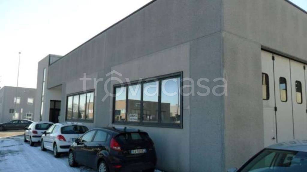 ufficio in vendita a Boara Pisani