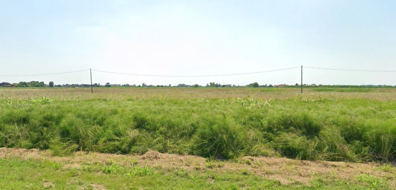 terreno agricolo in vendita a Boara Pisani