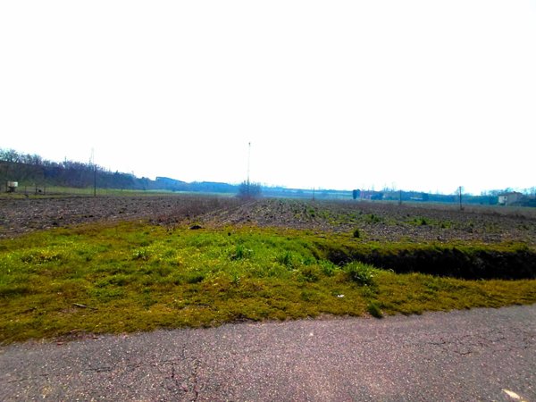 terreno agricolo in vendita a Boara Pisani