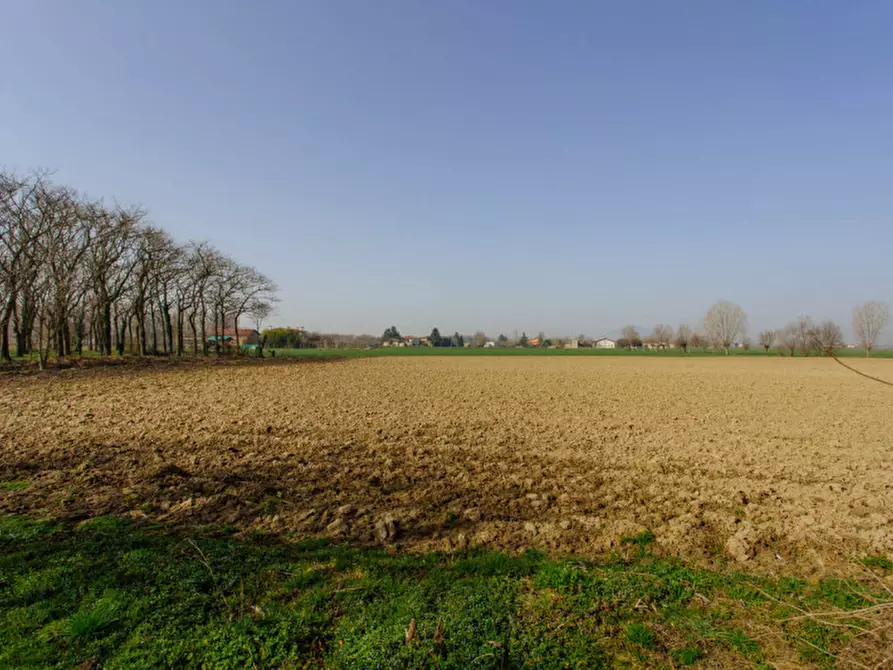 terreno edificabile in vendita a Boara Pisani