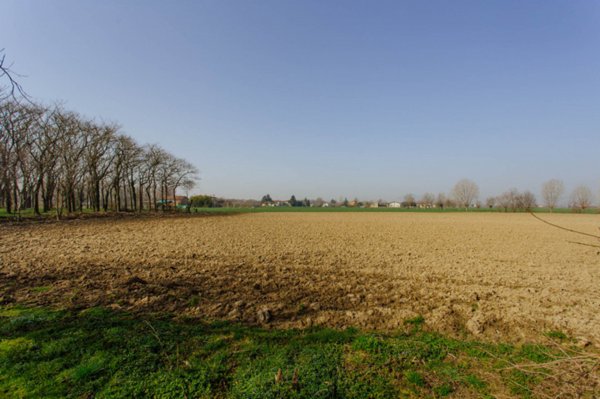 terreno edificabile in vendita a Boara Pisani