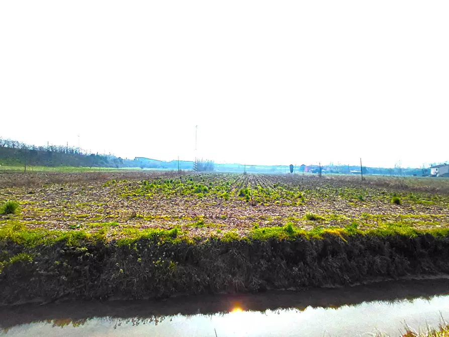 terreno agricolo in vendita a Boara Pisani