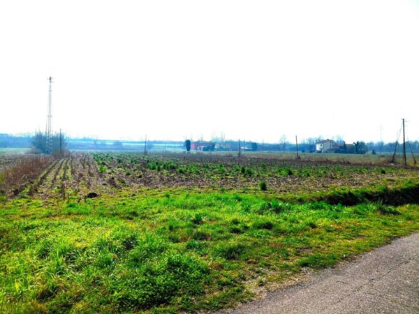 terreno agricolo in vendita a Boara Pisani
