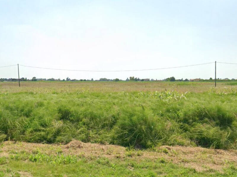 terreno agricolo in vendita a Boara Pisani