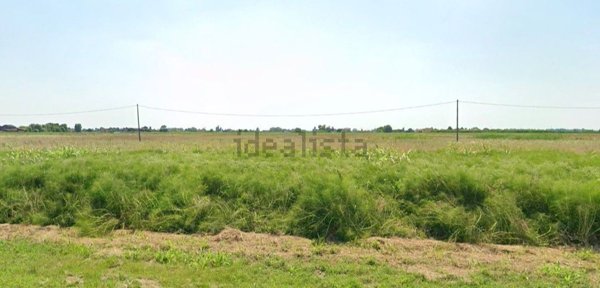 terreno agricolo in vendita a Boara Pisani