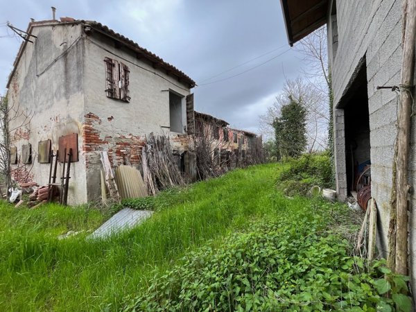 terreno agricolo in vendita a Borgoricco