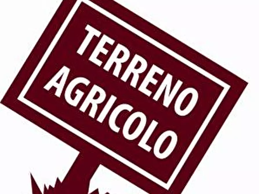 mansarda in vendita a Borgoricco