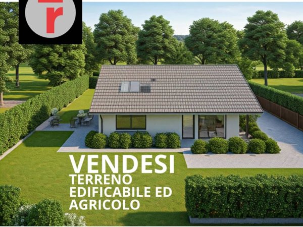 terreno agricolo in vendita a Borgoricco