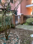 casa indipendente in vendita a Borgoricco