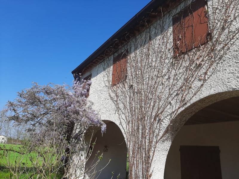 casa indipendente in vendita a Borgoricco in zona Sant'Eufemia