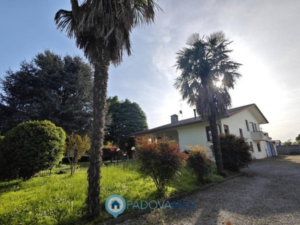 casa indipendente in vendita a Borgoricco