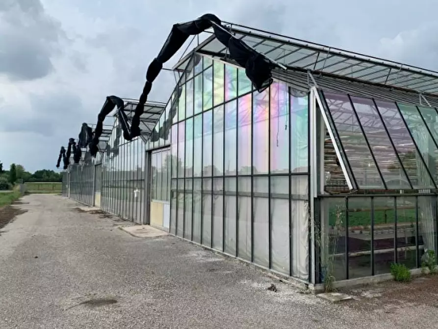 locale di sgombero in vendita a Borgoricco