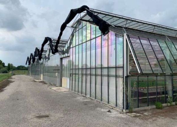 locale di sgombero in vendita a Borgoricco in zona Sant'Eufemia