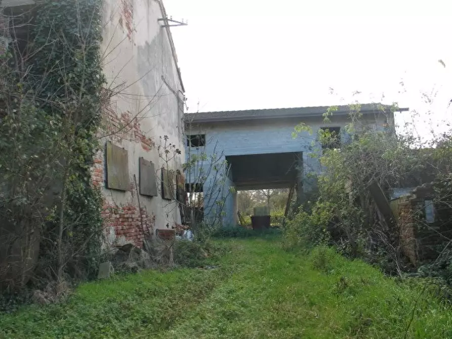 casa indipendente in vendita a Borgoricco