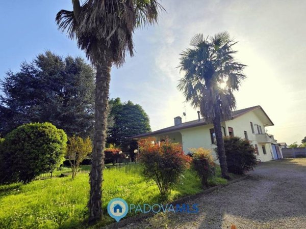 casa indipendente in vendita a Borgoricco