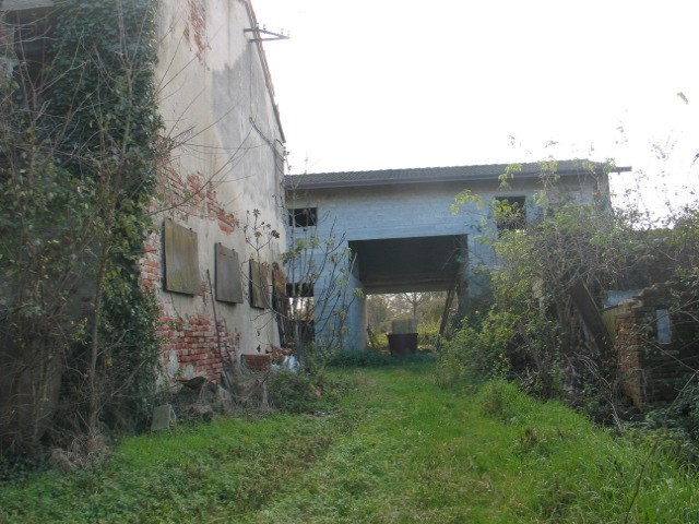 casa indipendente in vendita a Borgoricco