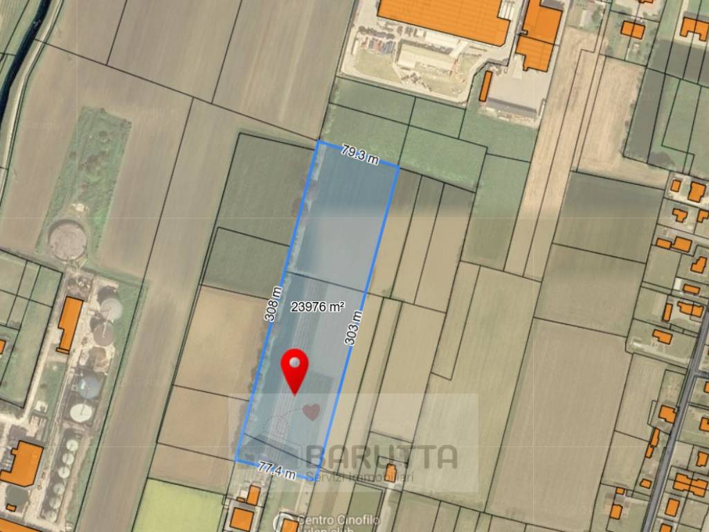 terreno agricolo in vendita a Borgoricco in zona San Michele delle Badesse