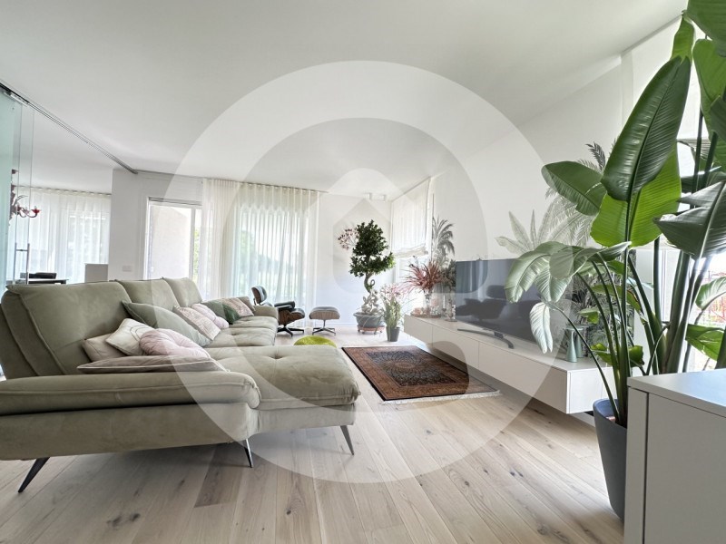 casa indipendente in vendita a Borgoricco