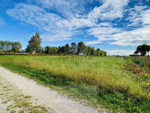 terreno agricolo in vendita a Borgoricco