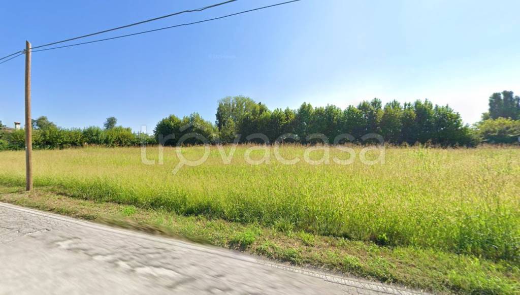 terreno edificabile in vendita a Borgoricco in zona San Michele delle Badesse
