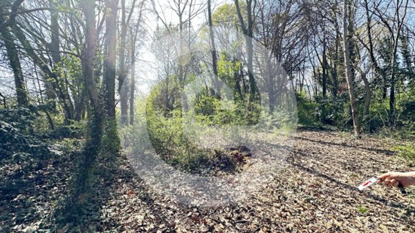casa indipendente in vendita a Borgoricco