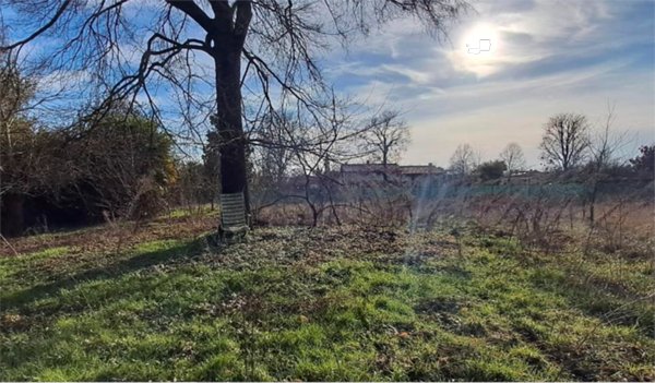 terreno agricolo in vendita a Borgoricco