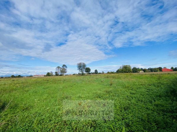 terreno agricolo in vendita a Borgoricco