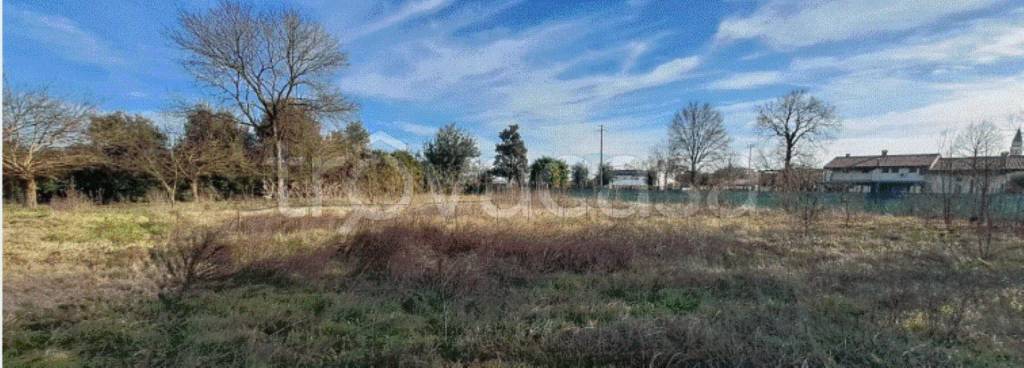 terreno edificabile in vendita a Borgoricco in zona Sant'Eufemia