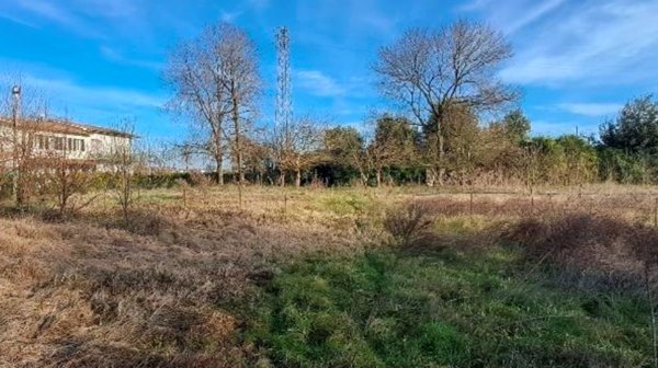 terreno agricolo in vendita a Borgoricco