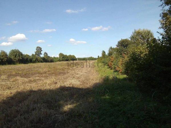 terreno agricolo in vendita a Borgoricco in zona Sant'Eufemia