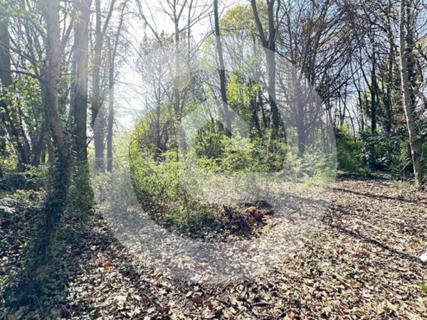 casa indipendente in vendita a Borgoricco