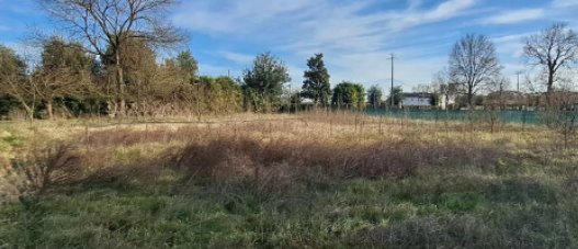 terreno agricolo in vendita a Borgoricco