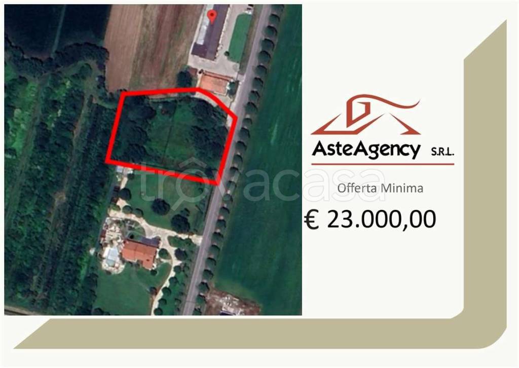 terreno agricolo in vendita a Borgoricco in zona Sant'Eufemia