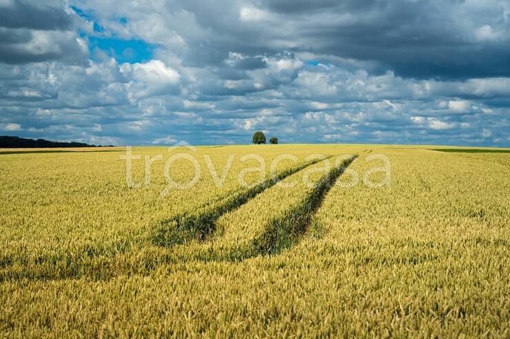 terreno agricolo in vendita a Borgoricco