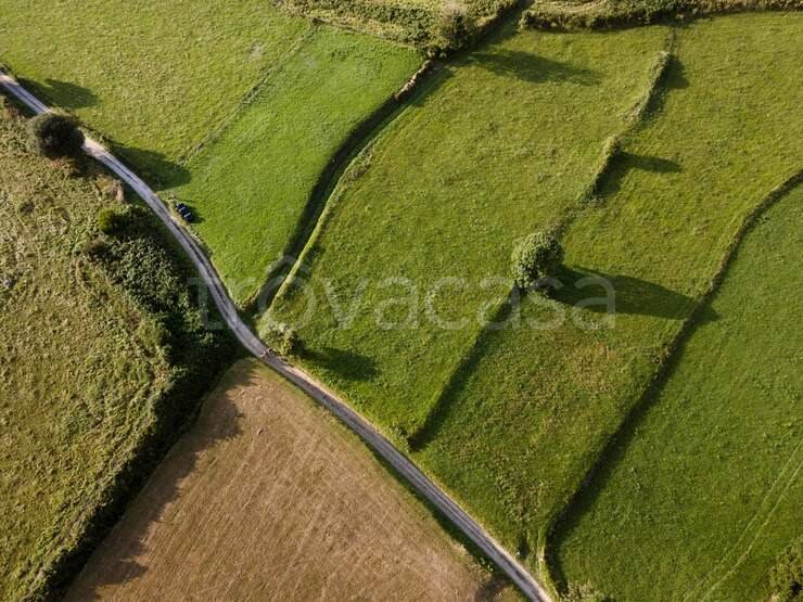 terreno agricolo in vendita a Borgoricco