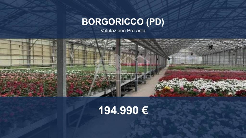 locale commerciale in vendita a Borgoricco in zona Sant'Eufemia